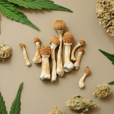 CANNABIS PRODUCTS